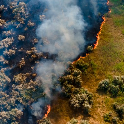 An aerial photo of a bushfire 